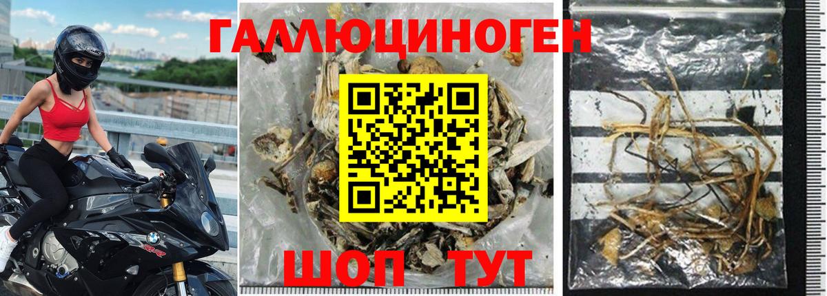 купить  цена  Вход с VPN  Лиски  Галлюциногенные грибы прущие грибы 
